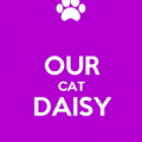 Daisy Kat